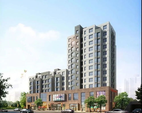 上海新世紀大廈發(fā)展100 股權(quán)