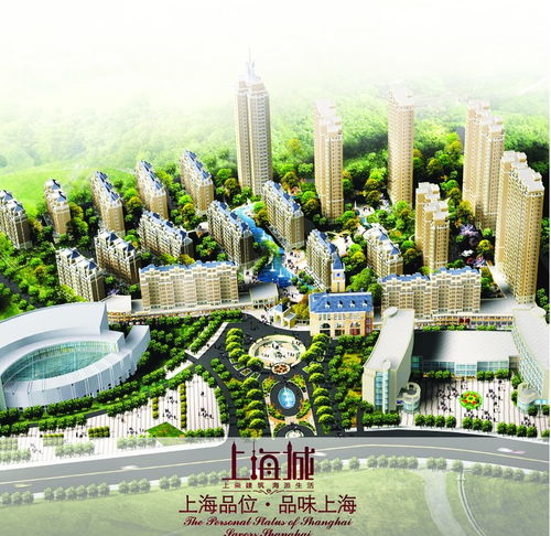 2009十堰秋季房地產展示會精品樓盤展示