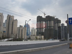 長寧88金廷 上海長寧88金廷配套實(shí)景圖,樣板間,效果圖,戶型圖 上海網(wǎng)易房產(chǎn)